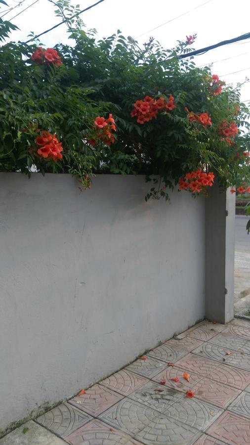 Hoang Dat Hotel Ντονγκ Χόι Εξωτερικό φωτογραφία